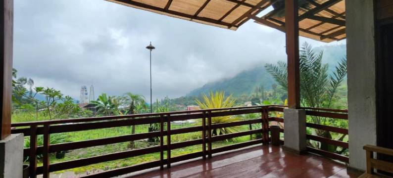 伊思坦纳佩塔尼酒店(Istana Petani Hotel)图片