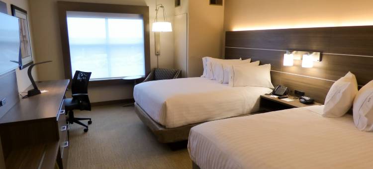 普利茅斯安娜堡区智选假日套房酒店(Holiday Inn Express & Suites Plymouth - Ann Arbor Area)图片