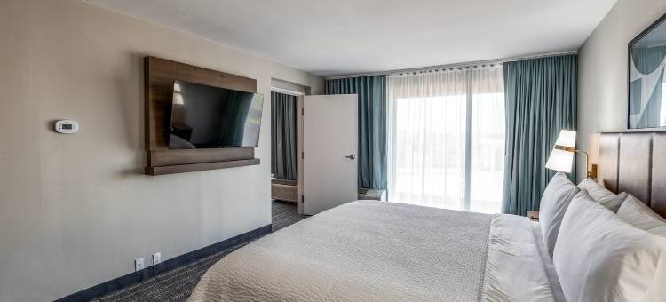 Staybridge Suites 达拉斯市场中心 Love Field by IHG(Staybridge Suites Dallas Market Ctr Love Field)图片