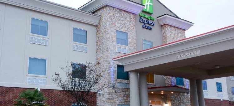 智选假日套房酒店新波士顿(Holiday Inn Express & Suites New Boston)图片