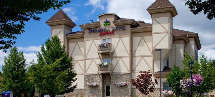 弗兰肯默斯万豪SpringHill Suites 酒店(SpringHill Suites Frankenmuth)图片