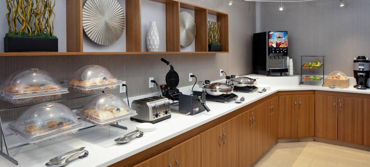 罗穆勒斯底特律都会机场万豪SpringHill酒店(SpringHill Suites Detroit Metro Airport Romulus)图片