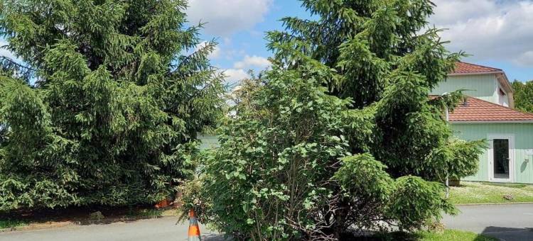 桑特基里亚德直营酒店(Kyriad Direct Saintes)图片