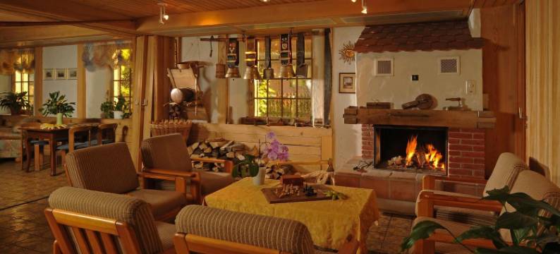 波斯特哈德曼尼酒店(Post Hardermannli)图片