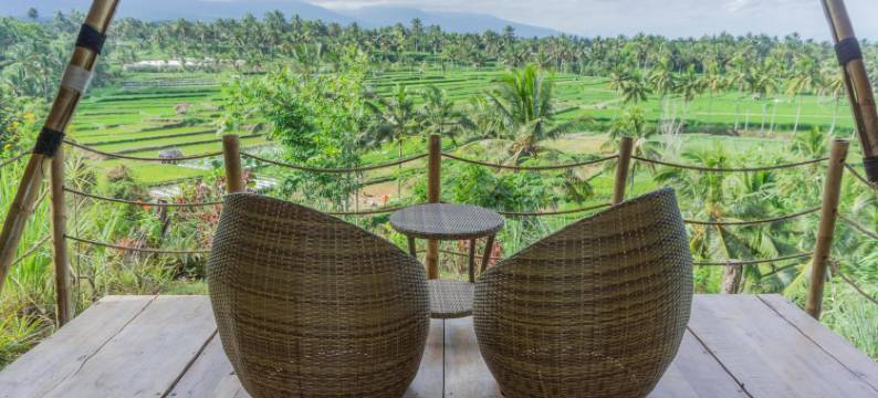 阿兰卡天帕桑(Aranka Tempasan)图片