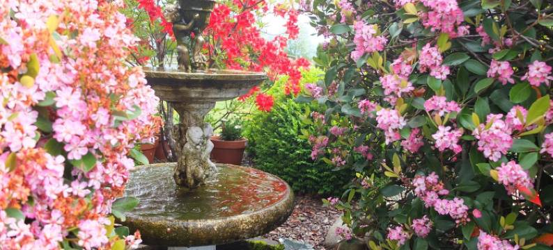 克罗尼尔庭院汽车旅馆(Colonial Court Motel)图片