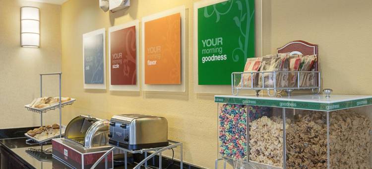 舒适套房酒店-医学中心近六旗(Comfort Suites Medical Center Near Six Flags)图片