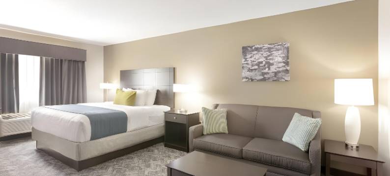 图拉丁-南奥斯威戈湖舒适套房酒店(Comfort Inn & Suites Tualatin - Lake Oswego South)图片