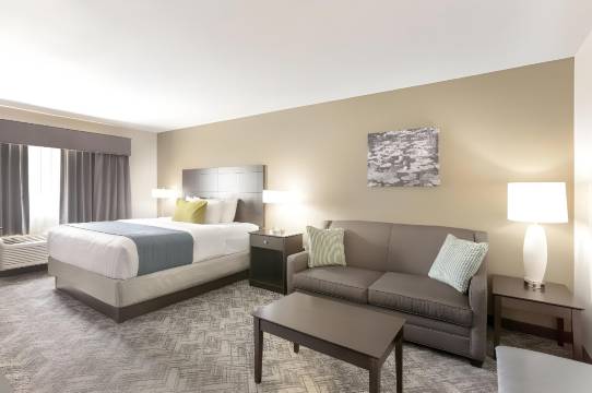 图拉丁-南奥斯威戈湖舒适套房酒店(Comfort Inn & Suites Tualatin - Lake Oswego South)