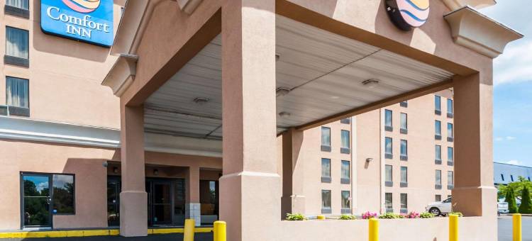 舒适酒店(Comfort Inn)图片