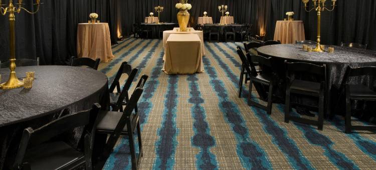 南普拉特维尔智选假日套房酒店(Holiday Inn Express & Suites Waco South)图片