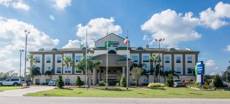 智选假日套房酒店休斯顿 - 阿尔文(Holiday Inn Express & Suites Houston-Alvin)图片