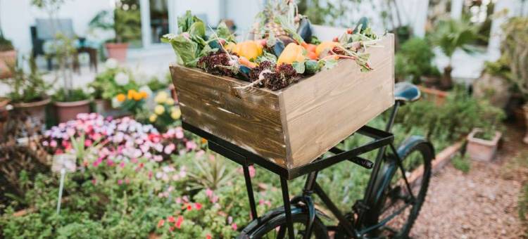 拉巴特乐迪瓦美憬阁酒店(MGallery le Diwan Rabat)图片