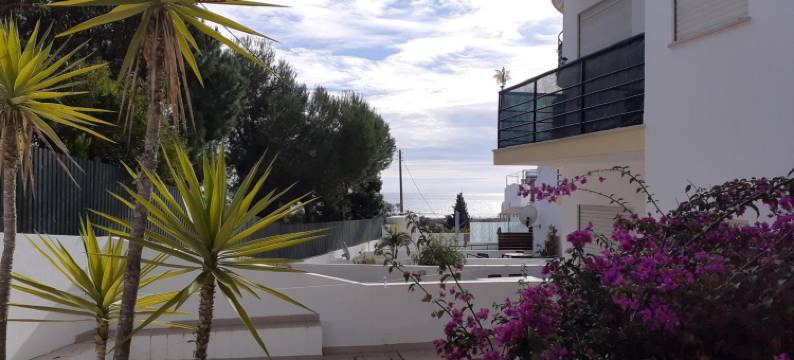 美亚普莱亚俱乐部酒店(Clube Meia Praia)图片