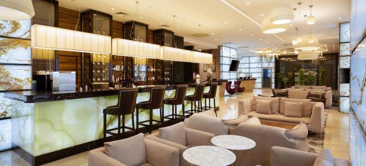 巴尔米拉商务俱乐部旅馆(Palmira Business Club)图片