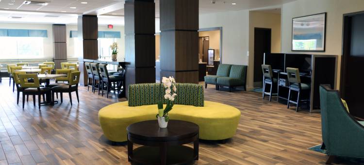 Holiday Inn Express & Suites Hendersonville SE - Flat Rock图片