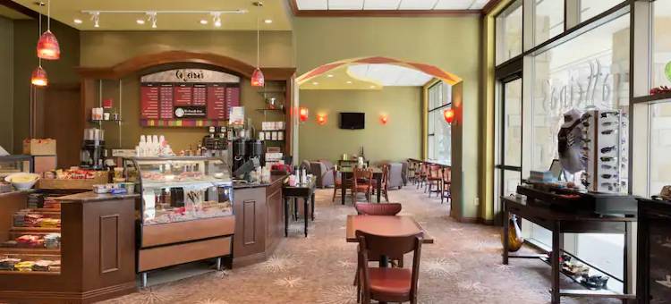 达拉斯弗赖拉辛希尔顿安泊水疗酒店&会议中心(Embassy Suites by Hilton Dallas Frisco Hotel & Convention Center)图片
