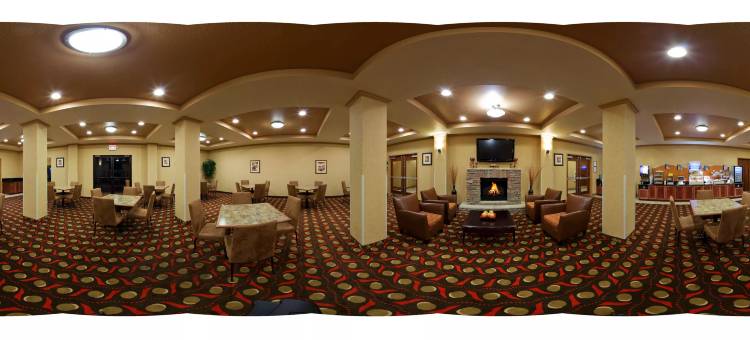 拉伏尼亚智选假日酒店(Holiday Inn Express & Suites Lavonia)图片