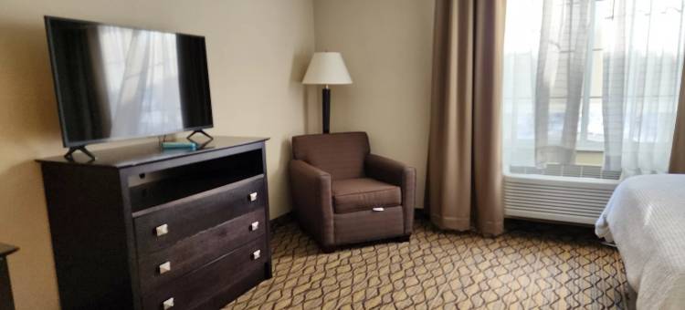 智选假日套房酒店凯迪拉克(Holiday Inn Express & Suites CADILLAC by IHG)图片