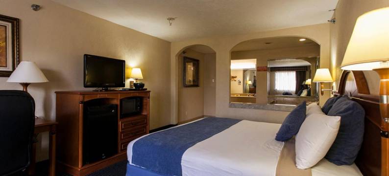 市中心霍比套房酒店(Downtowner Inn and Suites - Houston)图片