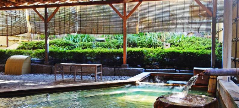 观水庭Kozeniya酒店(Kansuitei Kozeniya)图片