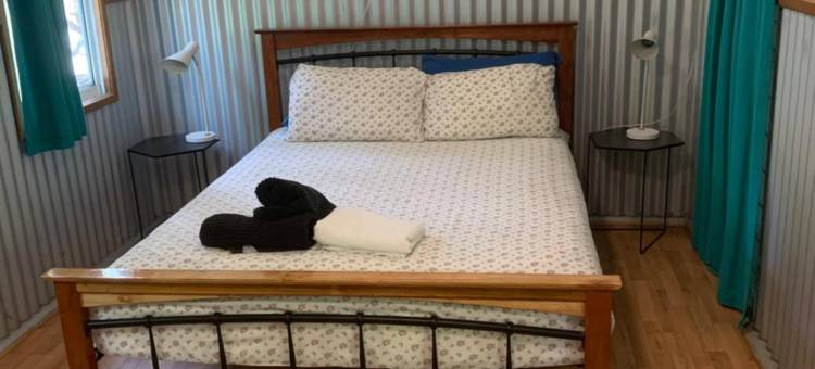 使命海滩斯科蒂氏青年公寓(Scotty's Mission Beach)图片