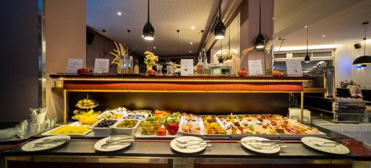 阿诺尔酒店&会议中心(Anor Hotel & Conference Center Frankfurt Airport)图片