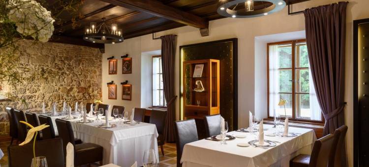 奇格勒奥托塞克酒店 - 罗莱夏朵(Hotel Grad Otočec - Relais Chateaux)图片