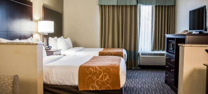 克利尔沃特-但尼丁舒适套房酒店(Comfort Suites Clearwater - Dunedin)图片