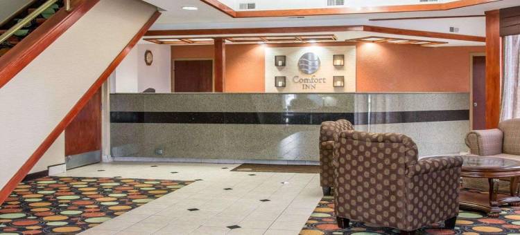 莫米 - 佩里斯堡区舒适酒店(Comfort Inn Maumee - Perrysburg Area)图片