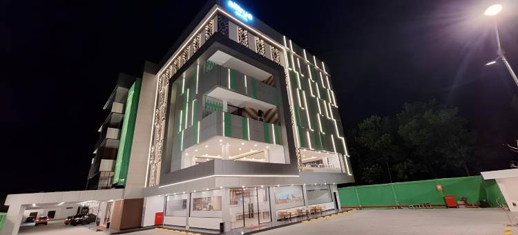 奥尔特鲁酒店帕朗卡拉亚(Alltrue Hotel Palangkaraya)图片