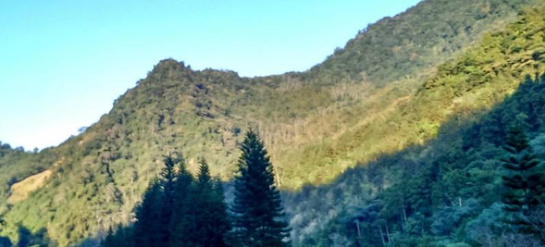 春谷养鳟农场图片