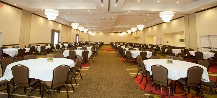 圣安东尼奥-利夫奥克会议中心希尔顿花园酒店(Hilton Garden Inn San Antonio/Live Oak)图片