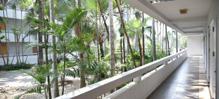 Saenpalm Training Home图片