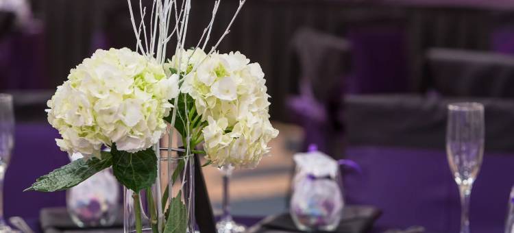 迈阿密西机场区假日酒店(Holiday Inn Miami West - Airport Area)图片