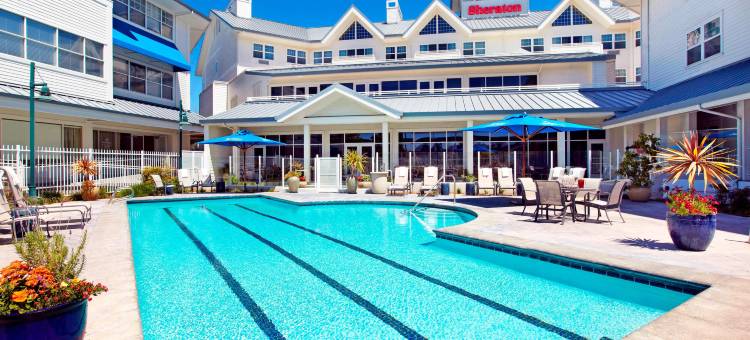 佩塔卢马索诺玛葡萄酒之乡喜来登酒店(Sheraton Sonoma Wine Country Petaluma)图片