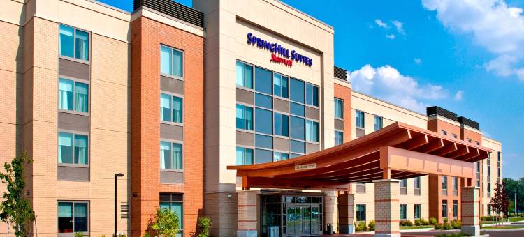 锡拉丘兹卡里尔环岛万豪SpringHill酒店(SpringHill Suites Syracuse Carrier Circle)图片