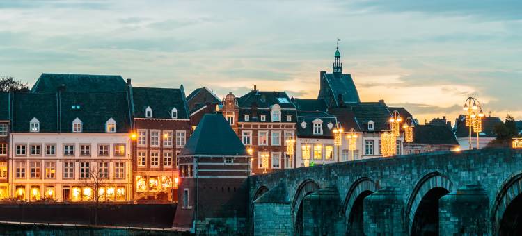 马斯特里赫特诺富特酒店(Novotel Maastricht)图片