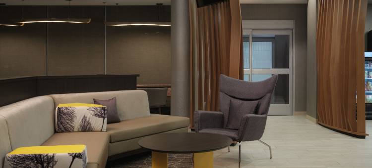 SpringHill Suites by Marriott Lexington Frankfort图片