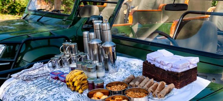 马华柯提班哈加尔国家公园酒店(Mahua Kothi Bandhavgarh - A Taj Safari Lodge)图片