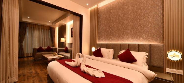 豪德瓦尼普莱德商务酒店(Pride Biznotel Haldwani)图片