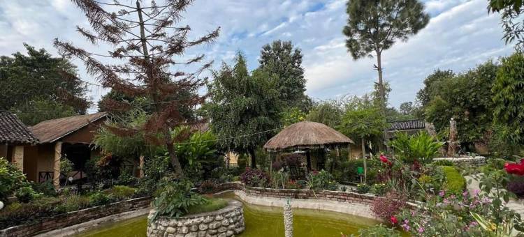 巴迪亚野生动物度假村(Bardia Wildlife Resort)图片