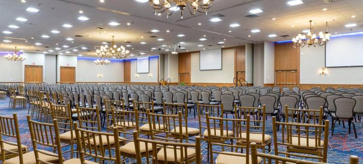 MCM雅典酒店及会议中心(Mcm Eleganté Hotel & Conference Center)图片