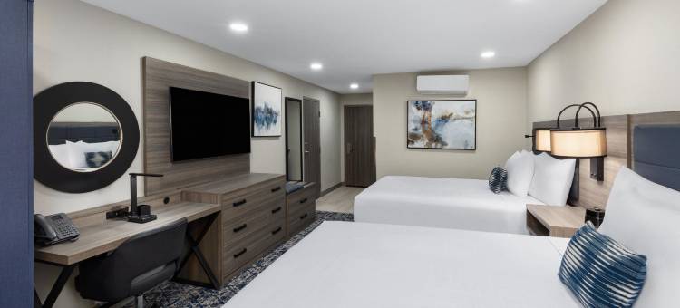 温德姆DFW机场酒店(Wyndham DFW Airport)图片