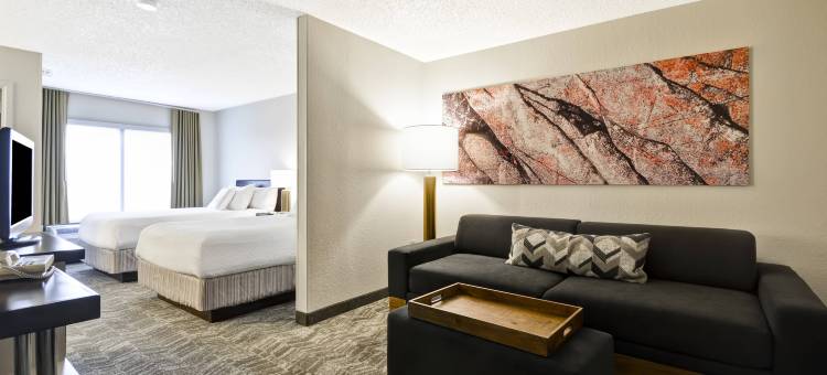 圣安东尼奥医疗中心/西北万豪SpringHill酒店(SpringHill Suites San Antonio Medical Center/Northwest)图片