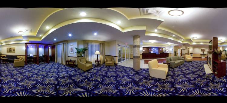 智选假日套房酒店布鲁克斯维尔- I - 75(Holiday Inn Express & Suites Brooksville-I-75)图片