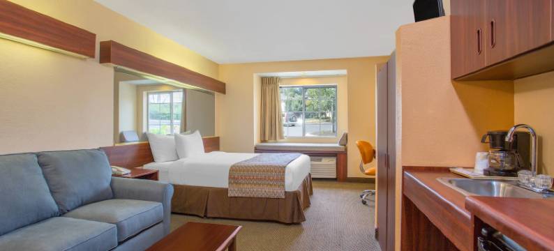 Microtel Inn & Suites by Wyndham Kannapolis/Concord图片