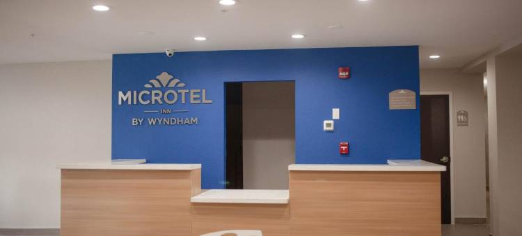 杰克森维尔勒琼营麦客达温德姆酒店(Microtel Inn & Suites by Wyndham Camp Lejeune/Jacksonville)图片