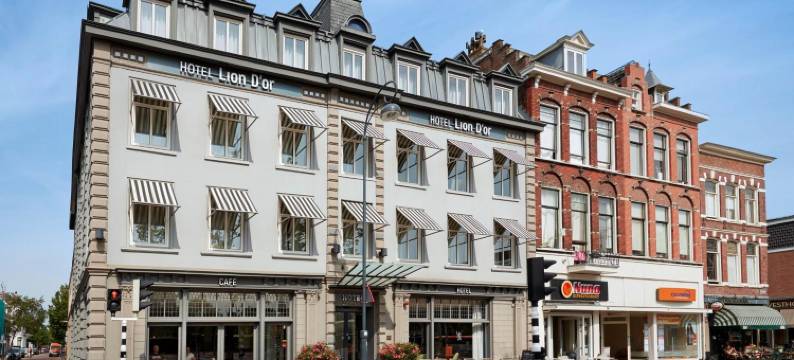 狮子多尔酒店(Hotel Lion d'Or)图片