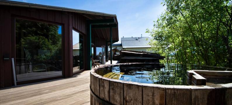 佛斯特美斯特酒店(Hotel Forstmeister)图片